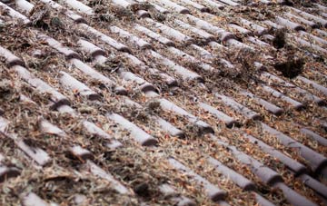 Beauworth roof cleaning companies